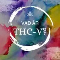 THCV