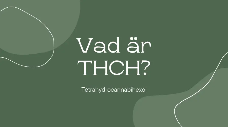 Vad är THCH? Läs om den nya tilskottet