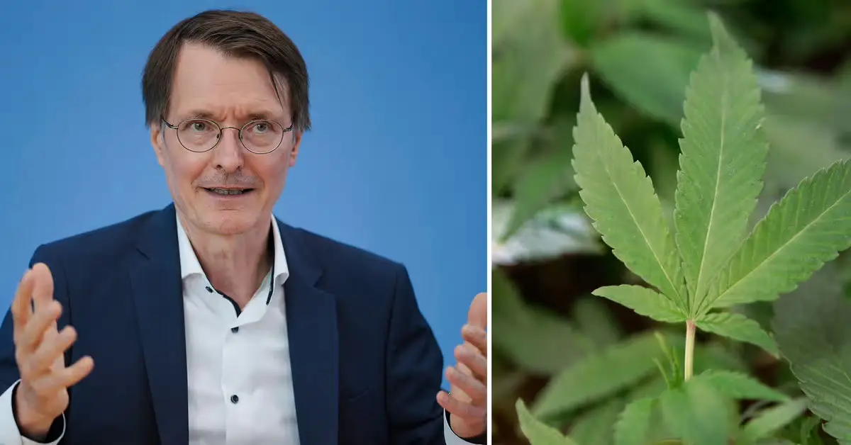 Tyskland legalisering av cannabis handlar denna artikel om